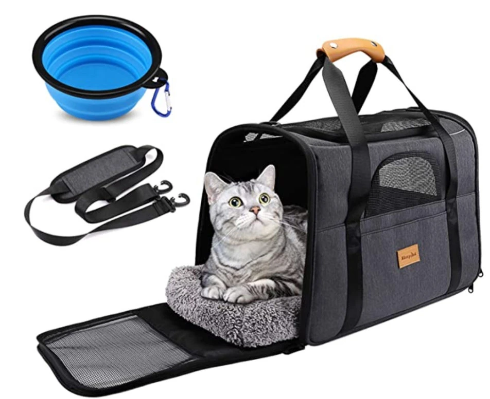 Auswanderung Katzen Zypern