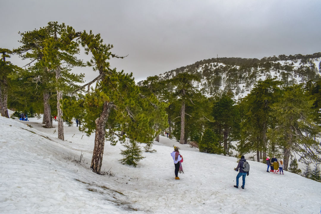 Zypern Wintersport