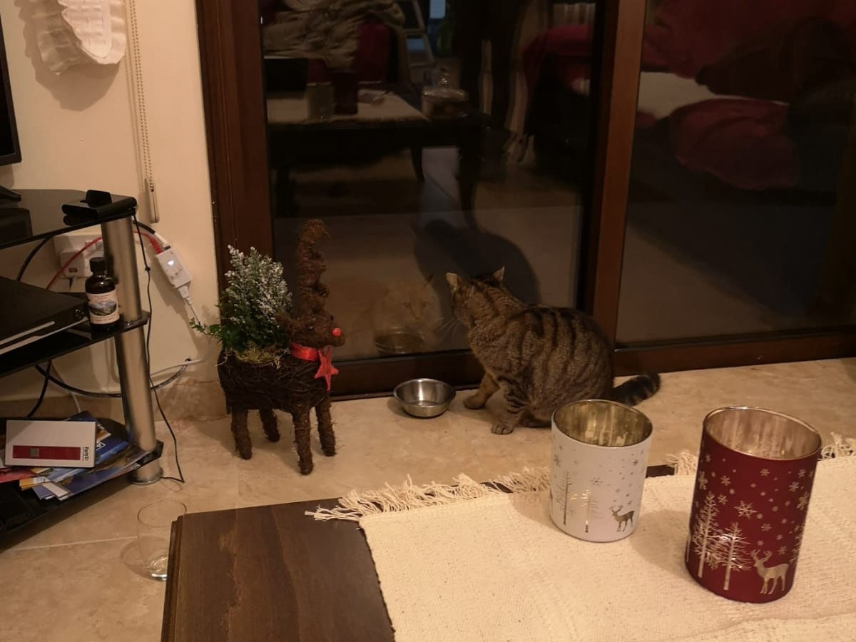 Weihnachten in Lysos