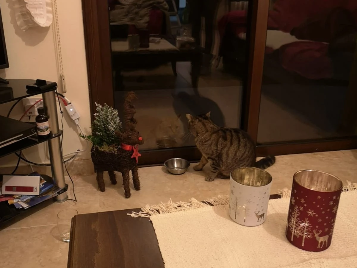 Weihnachten in Lysos